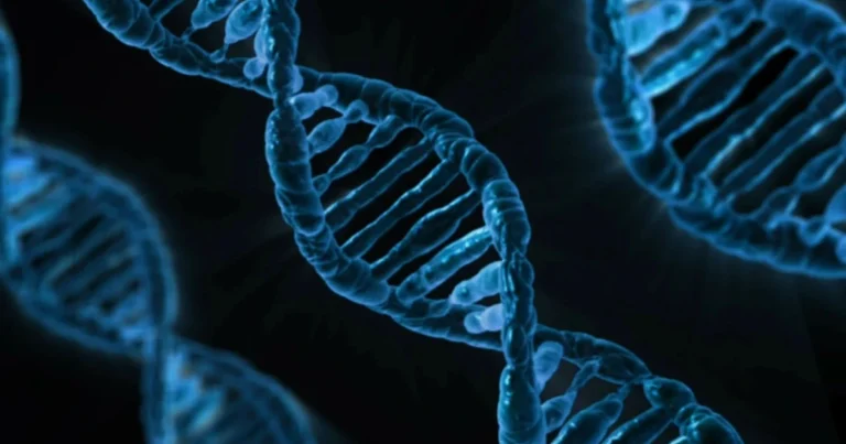 methylation genetic test